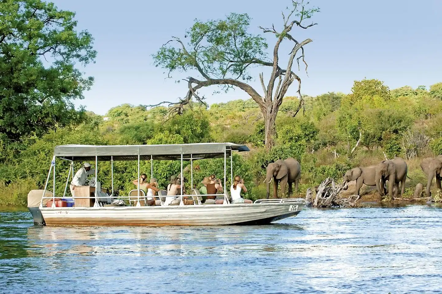 Sanctuary Chobe Chilwero Tiere