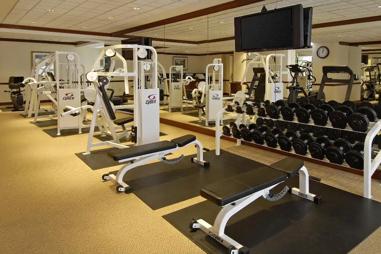 Omni San Francisco Sport und Entertainment