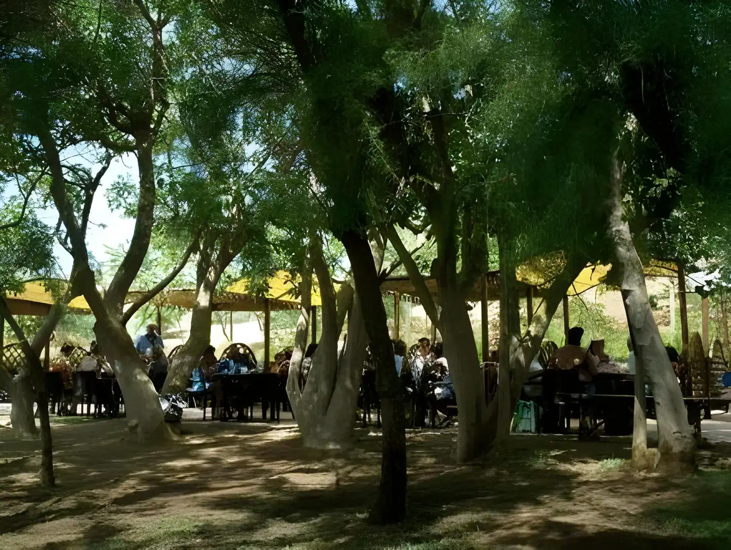 Paradise Beach Resort Garten