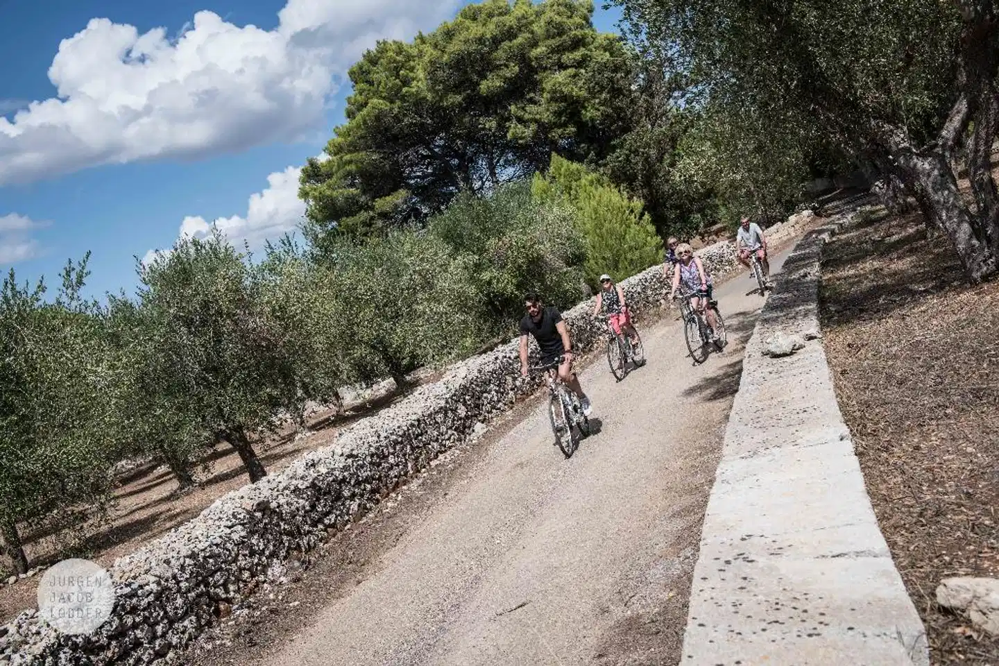 Palazzo Guglielmo Landschaft