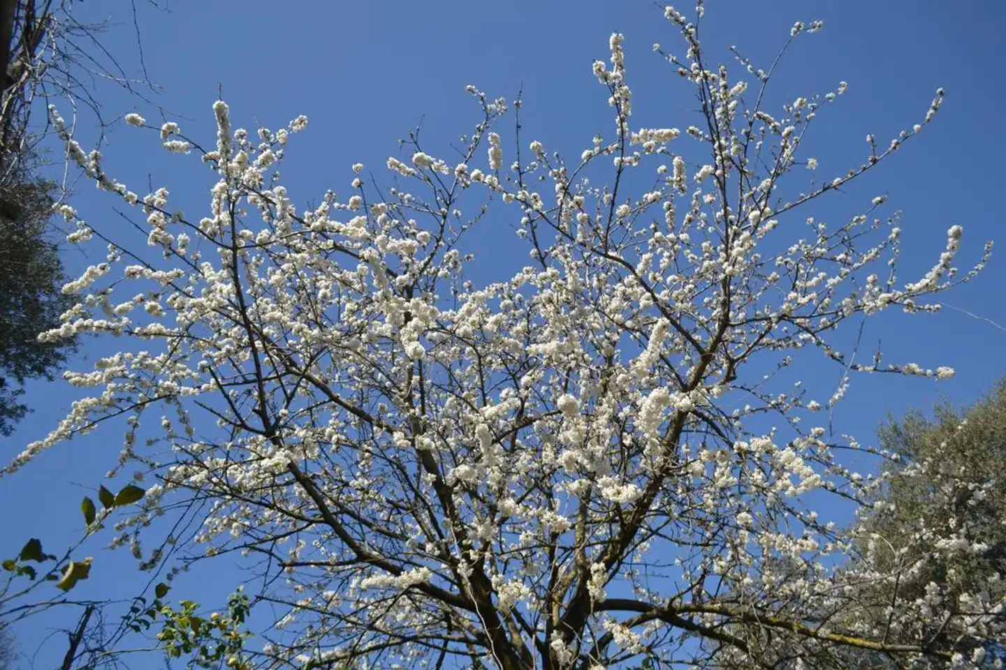 Sorrento Experience Landschaft