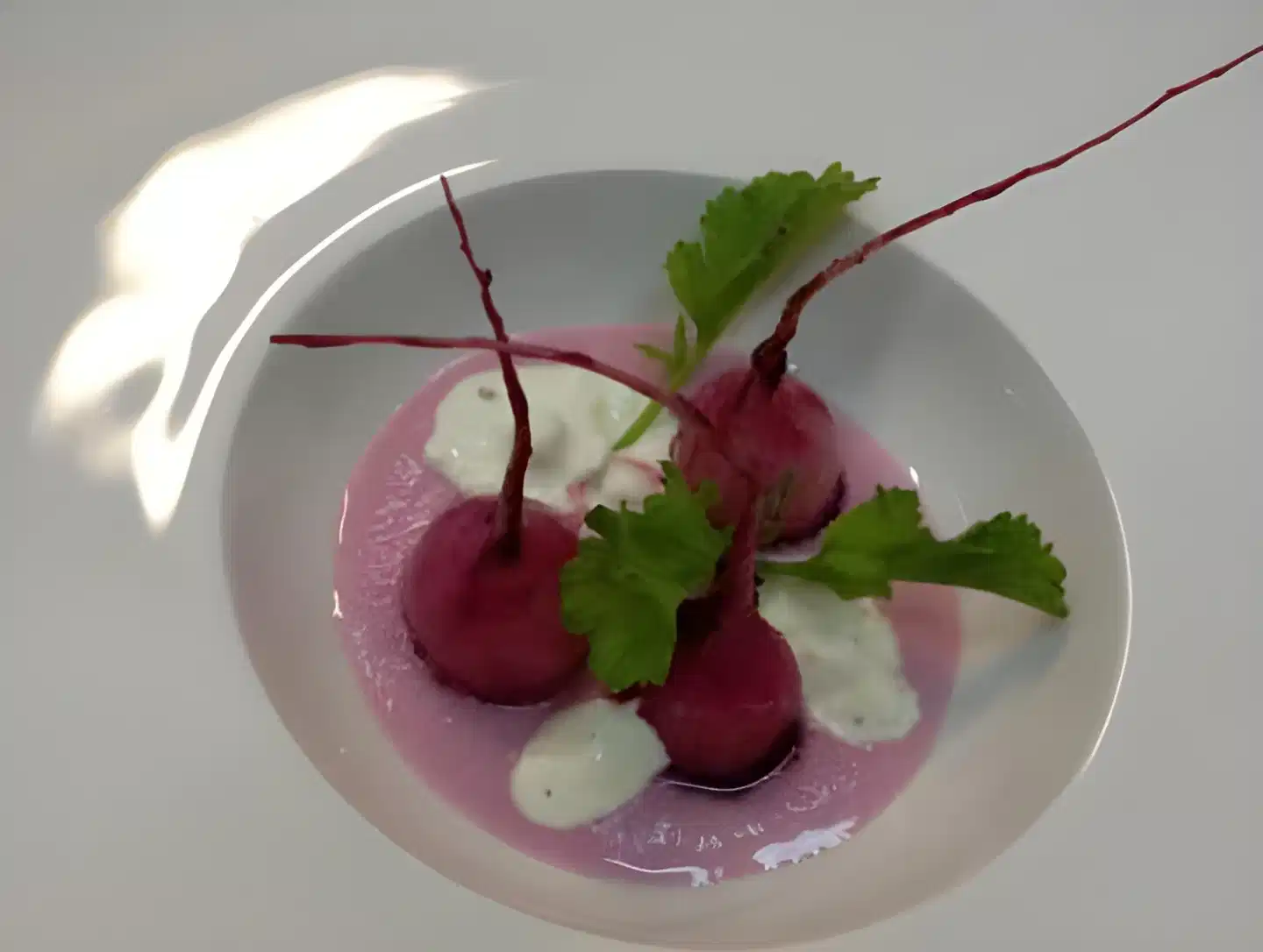 Hotel-Restaurant Dombäcker Restaurant