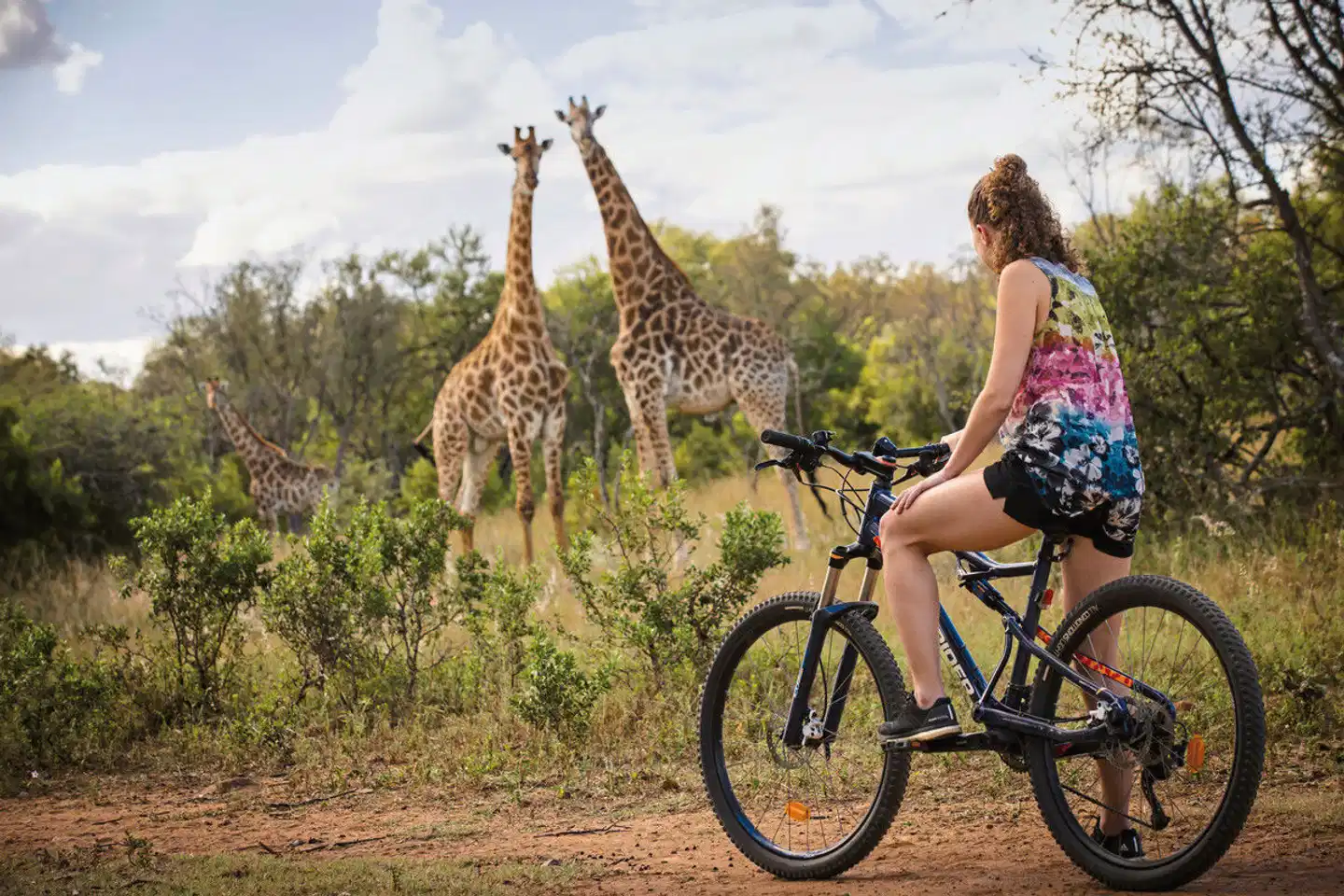 Zebras Crossing Lodge Sport und Entertainment