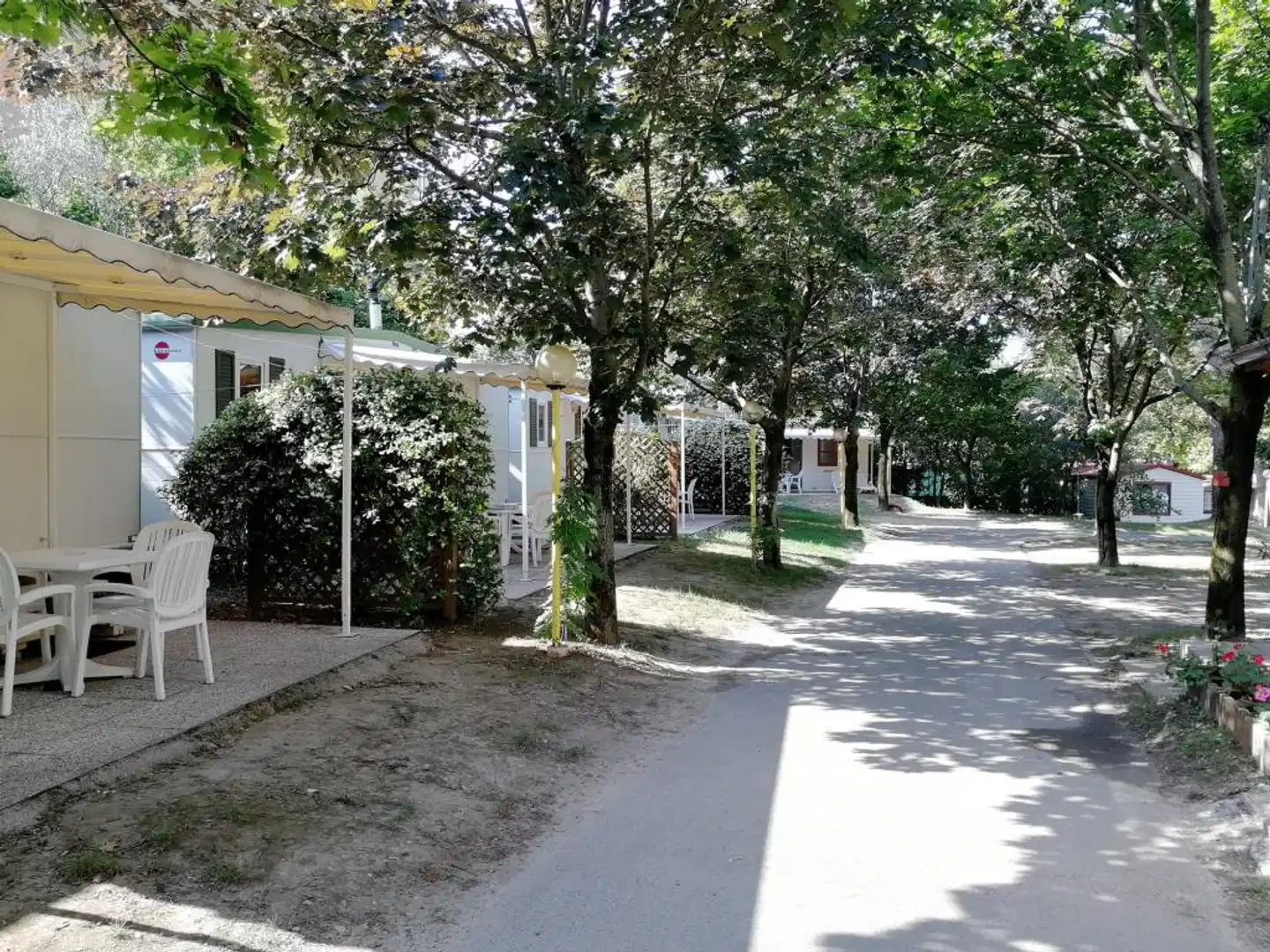 Camping Daino Terrasse