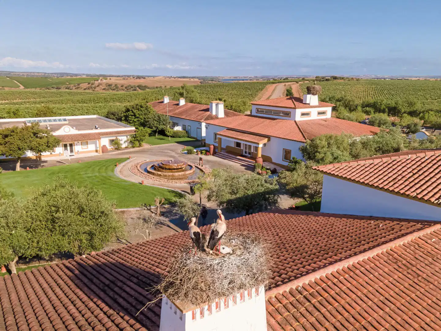 Vila Galé Alentejo Vineyards Terrasse