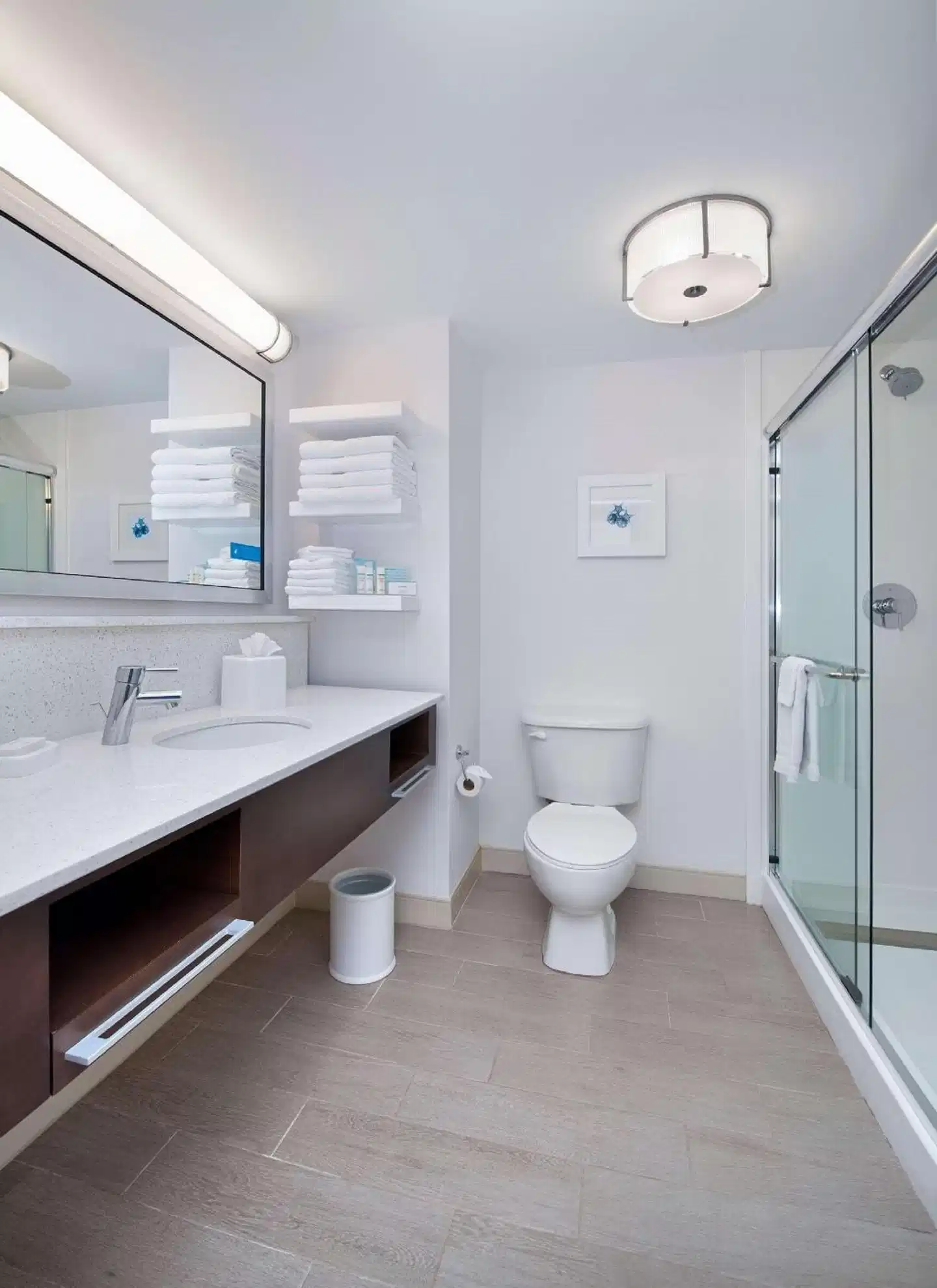 Hampton Inn Naples-I-75 Badezimmer