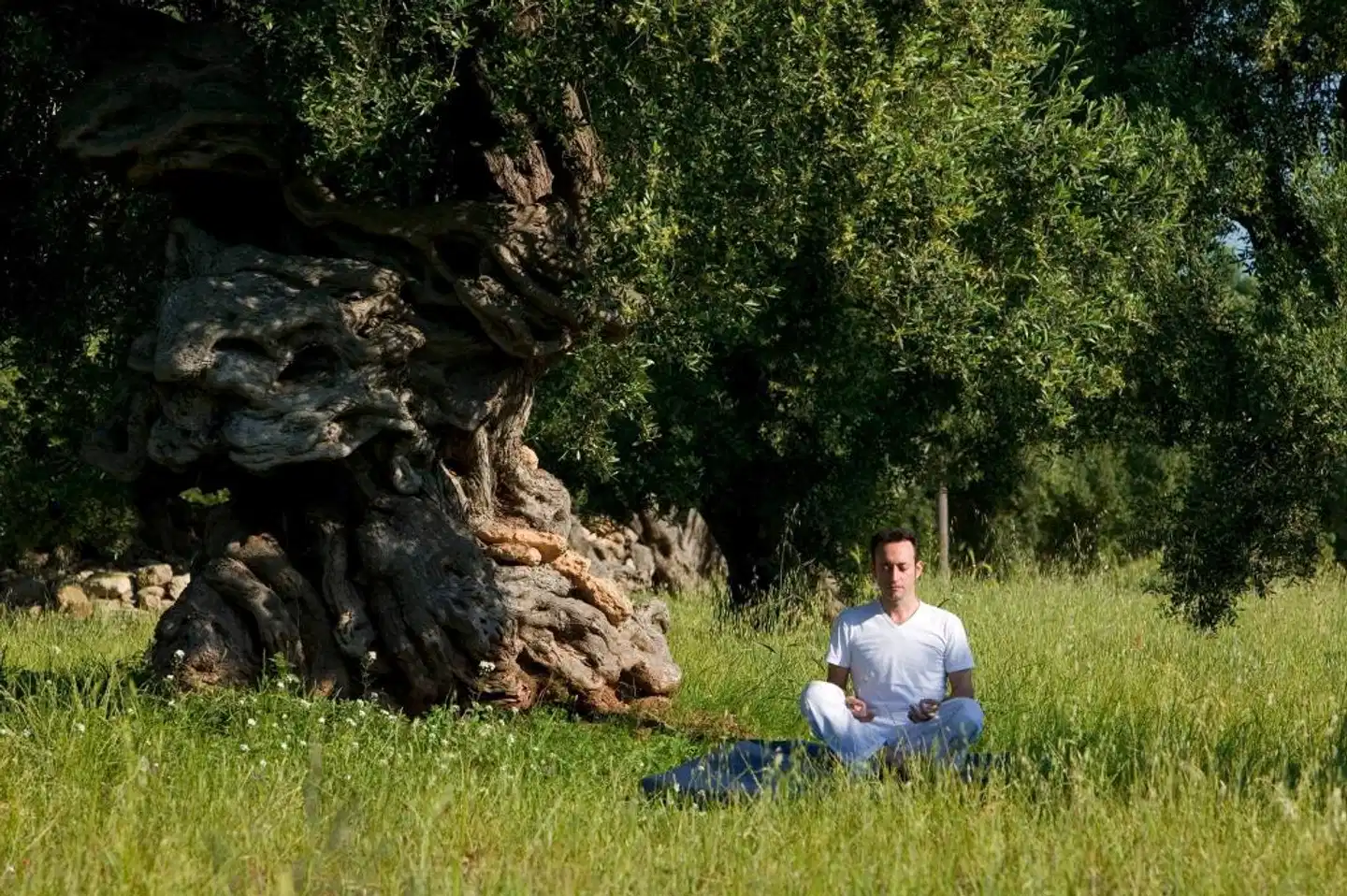 Masseria Torre Maizza Tiere