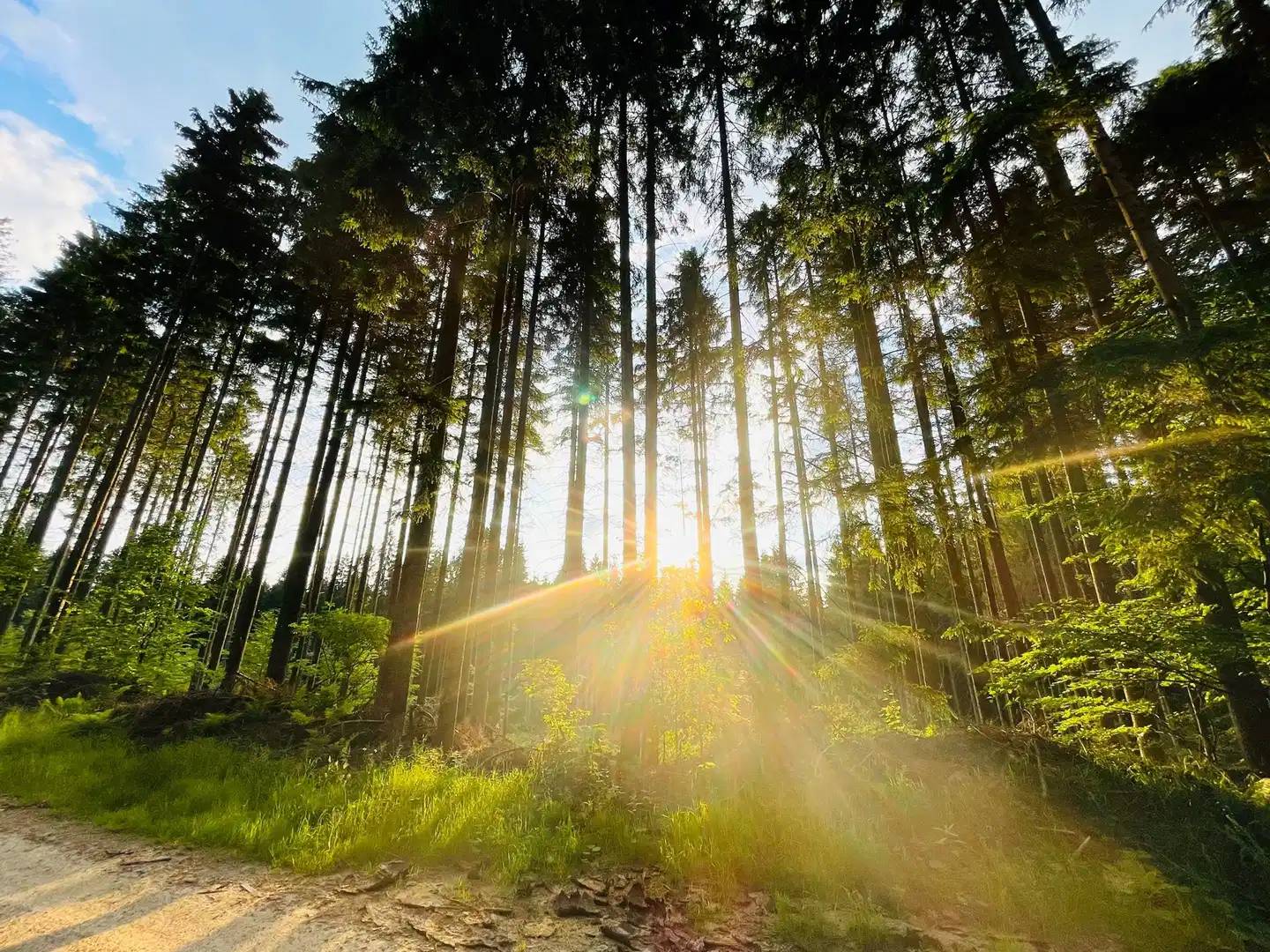 Landgasthof Hubertus Garten