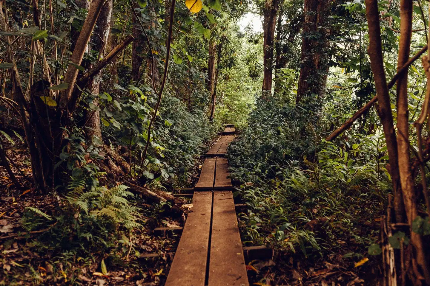 Banyan Harbor Garten