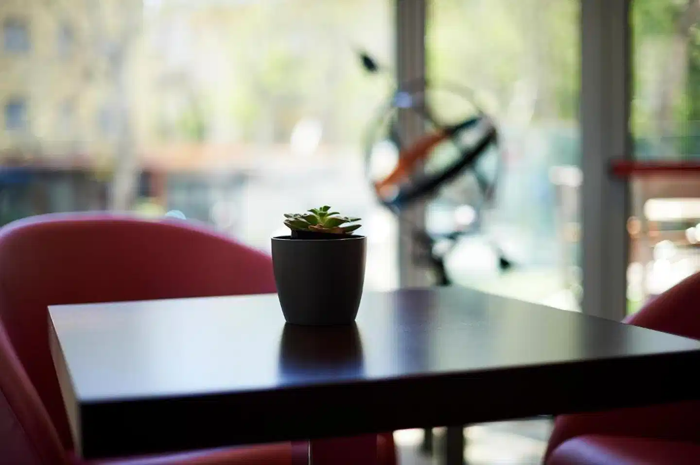 Alisei Palace Hotel Sport und Entertainment