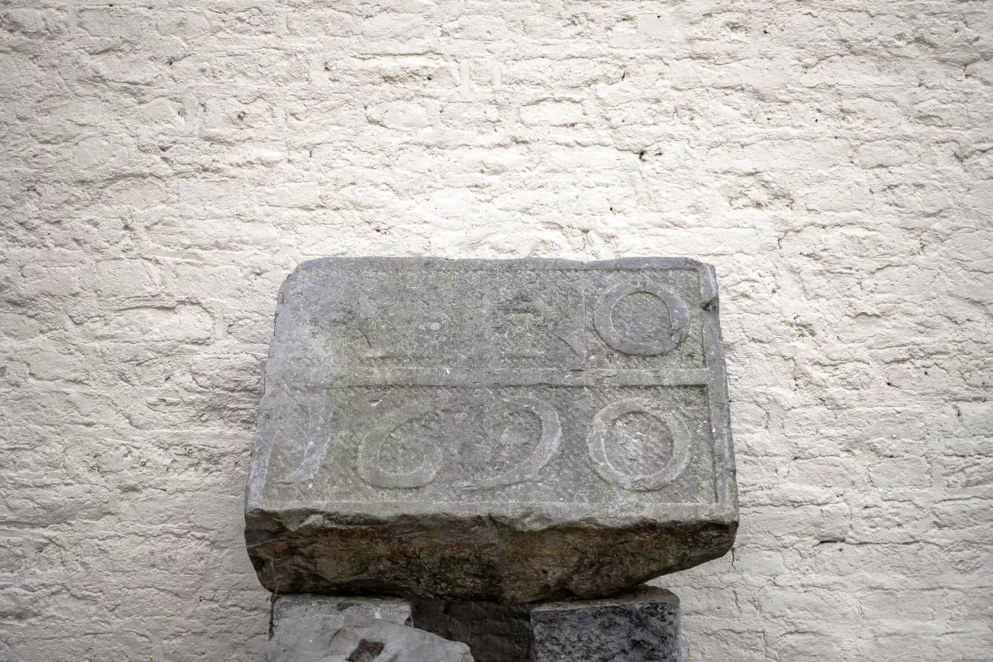 Bigarré Modellaufnahme