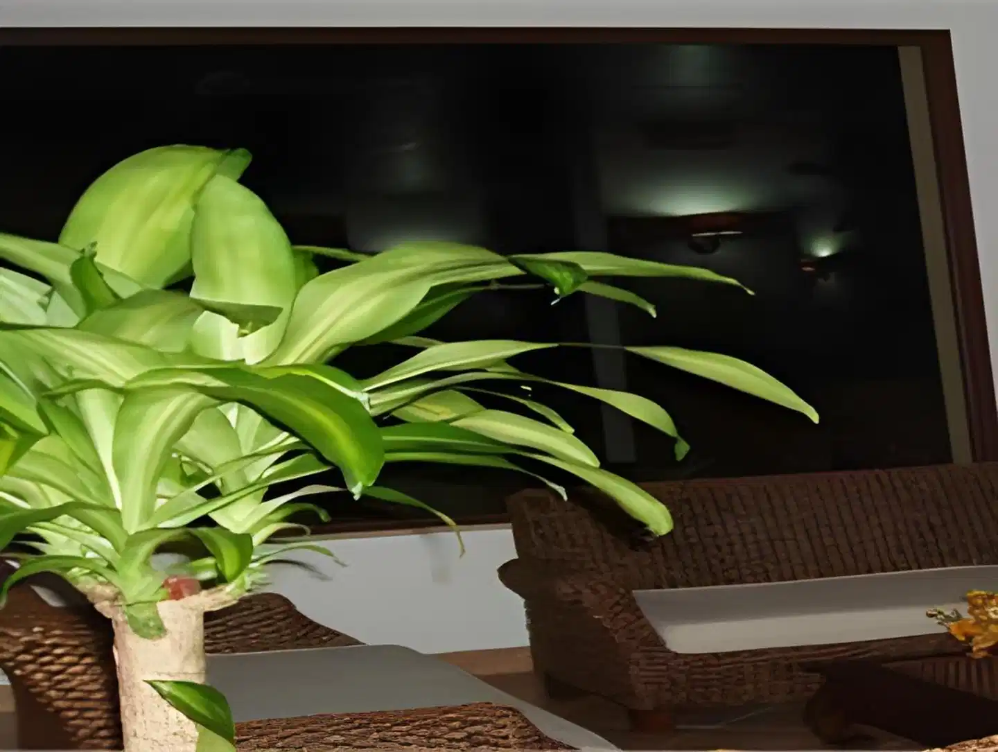 Residence Hotel Antica Perla Lobby