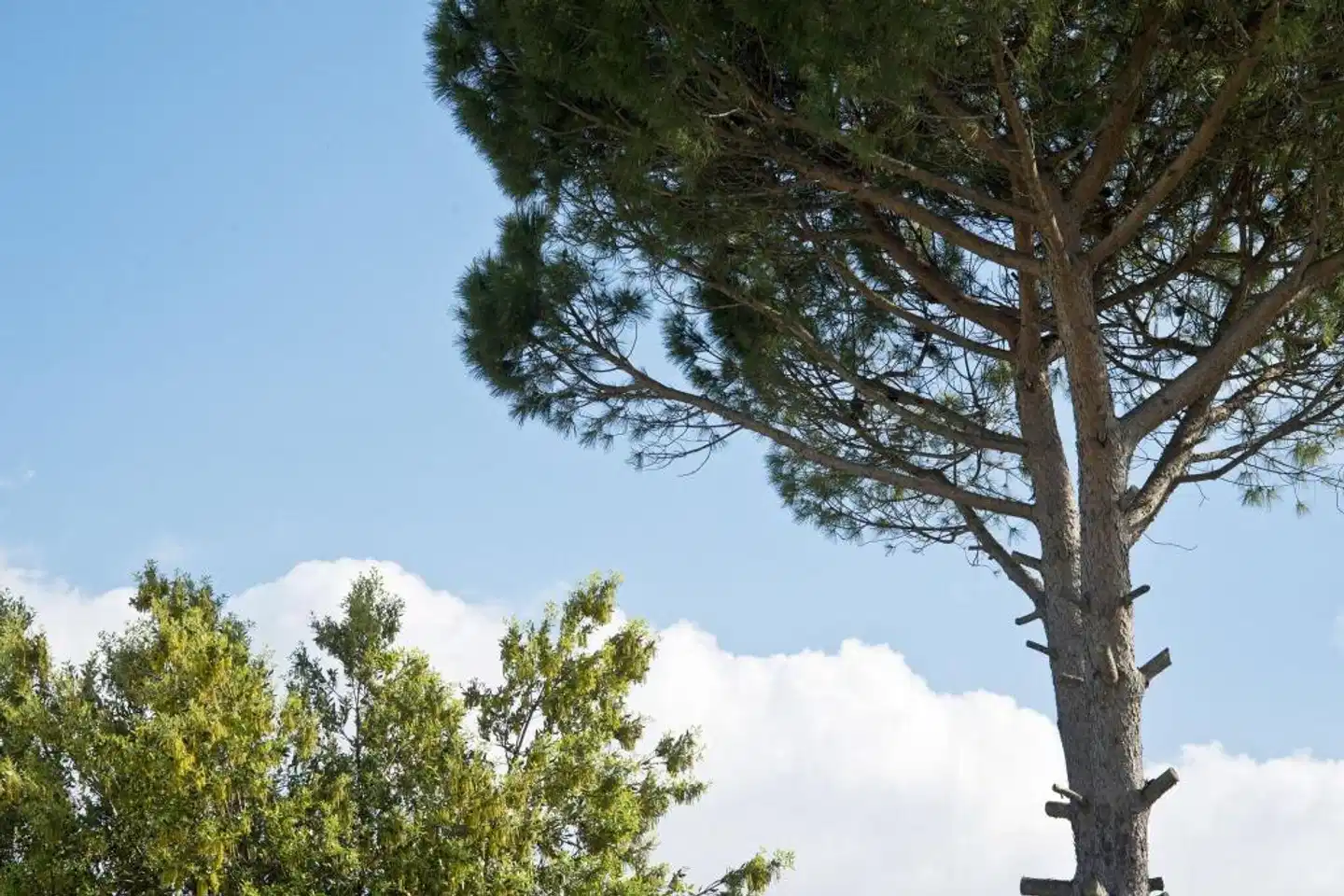 Park Hotel La Grave Landschaft