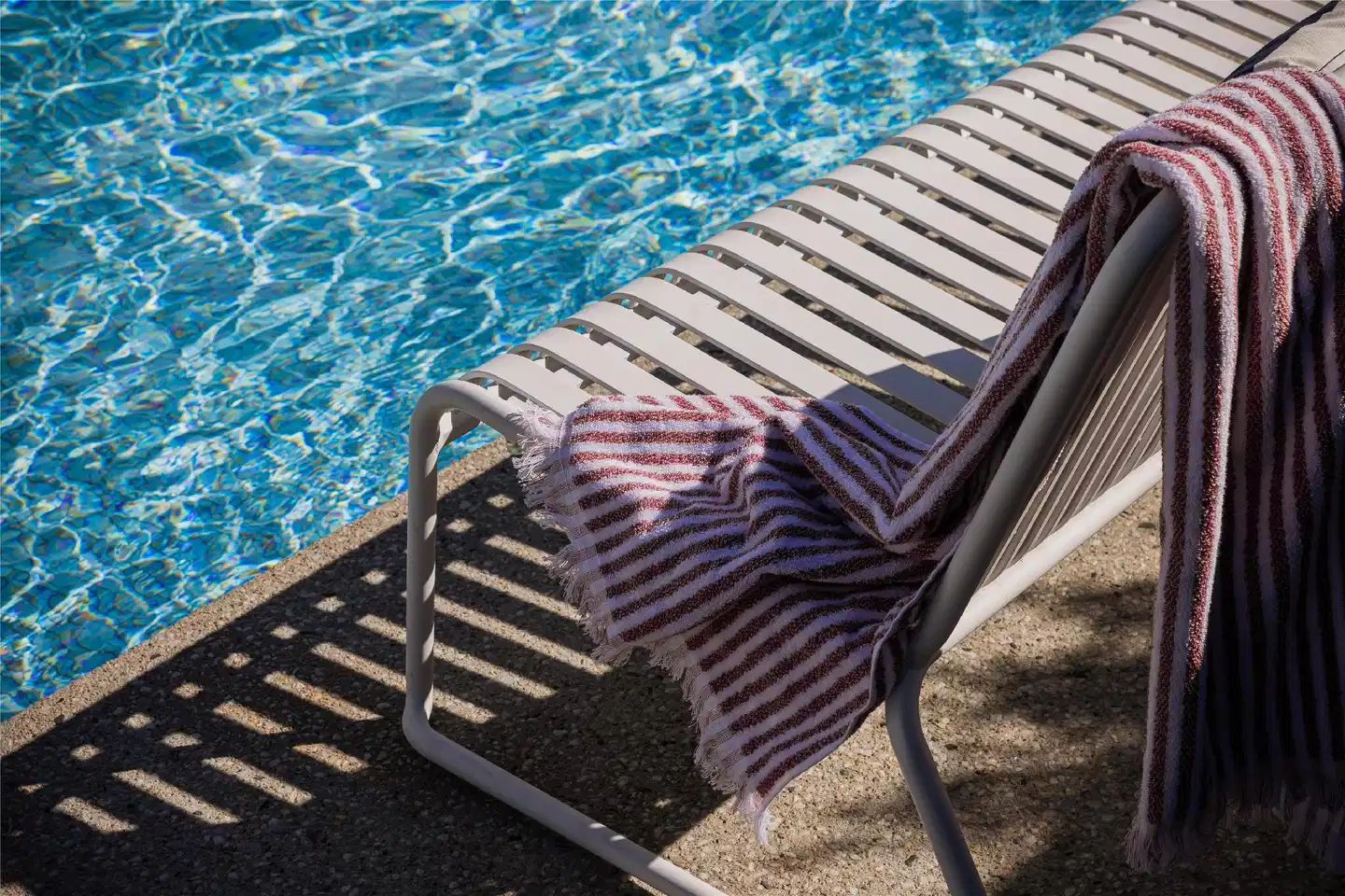 HotelMOTEL Adelaide Tiere