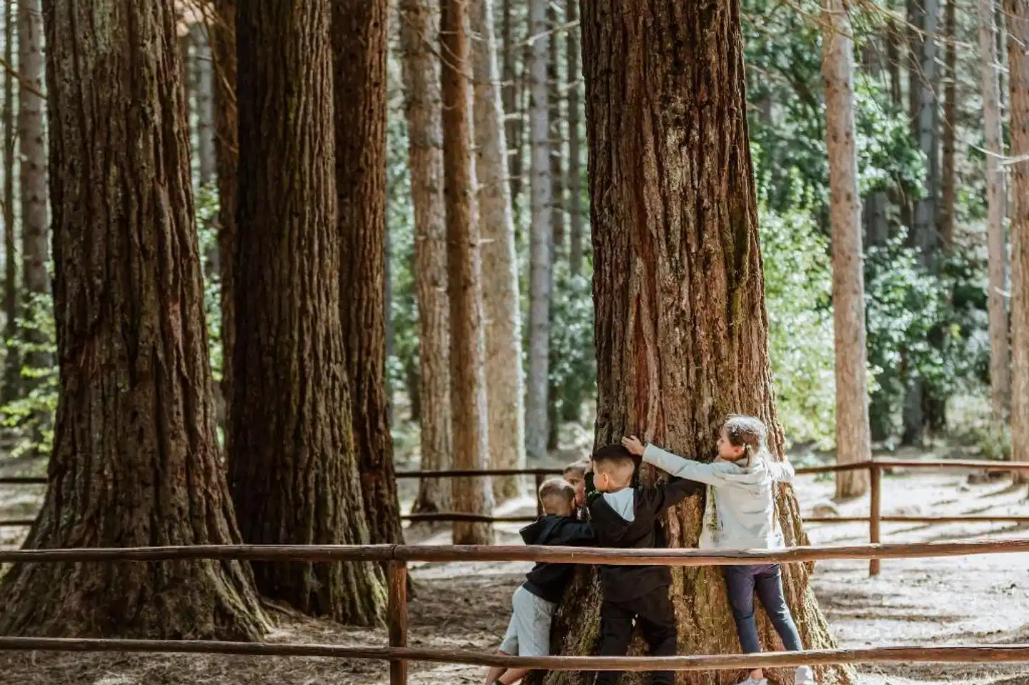 Vallicciola Monte Limbara Nature Hotel Wellness