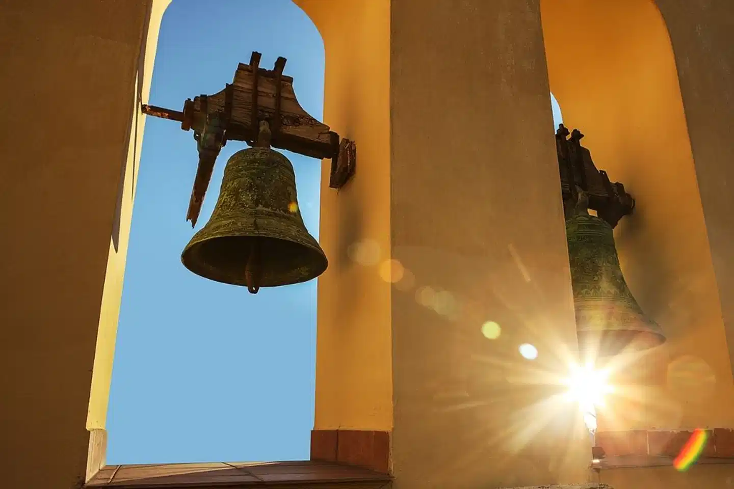 Grand Hotel Capodimonte Tiere