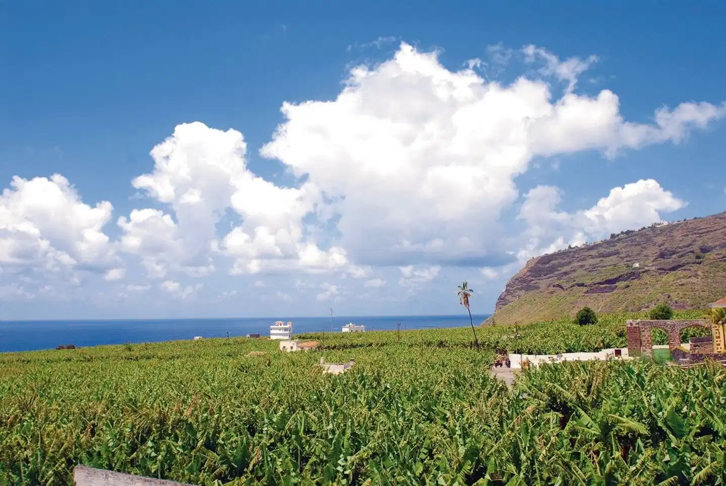 Hacienda de Abajo Landschaft