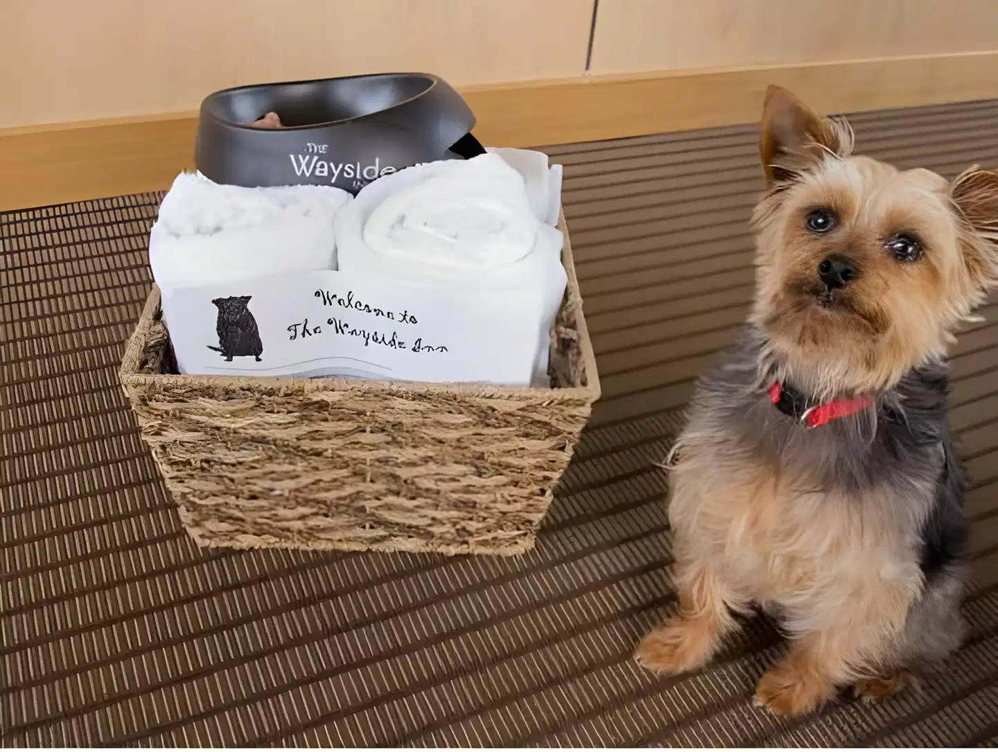 The Wayside Inn Tiere