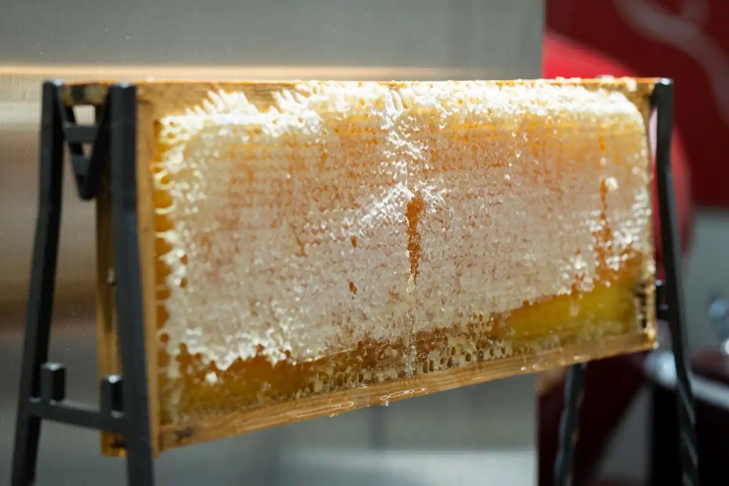 Ciutadella Barcelona Wellness