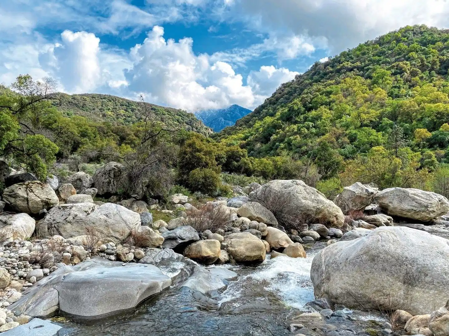 Buckeye Tree Lodge Landschaft