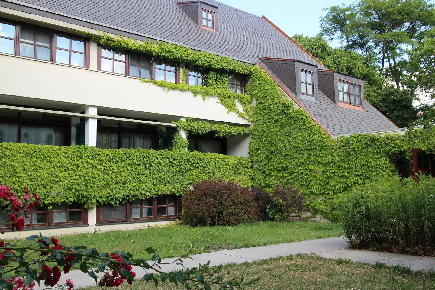 Hotel Sifkovits Aussenansicht