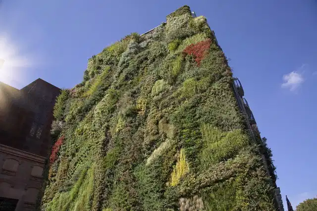 DoubleTree by Hilton Madrid-Prado Landschaft