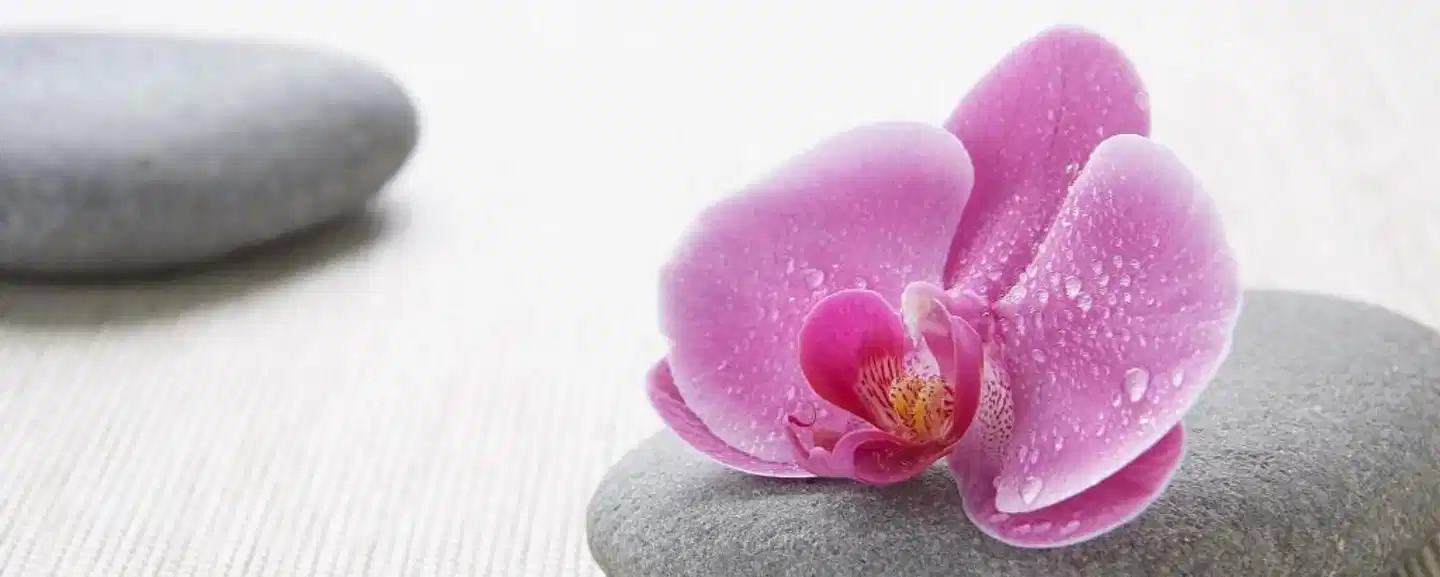 Calgary Airport Marriott In-Terminal Hotel Wellness