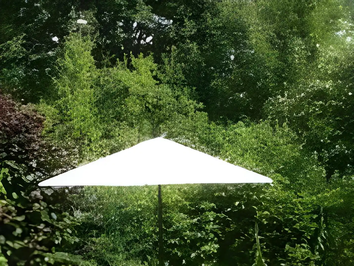 Appartements Steiner Garten