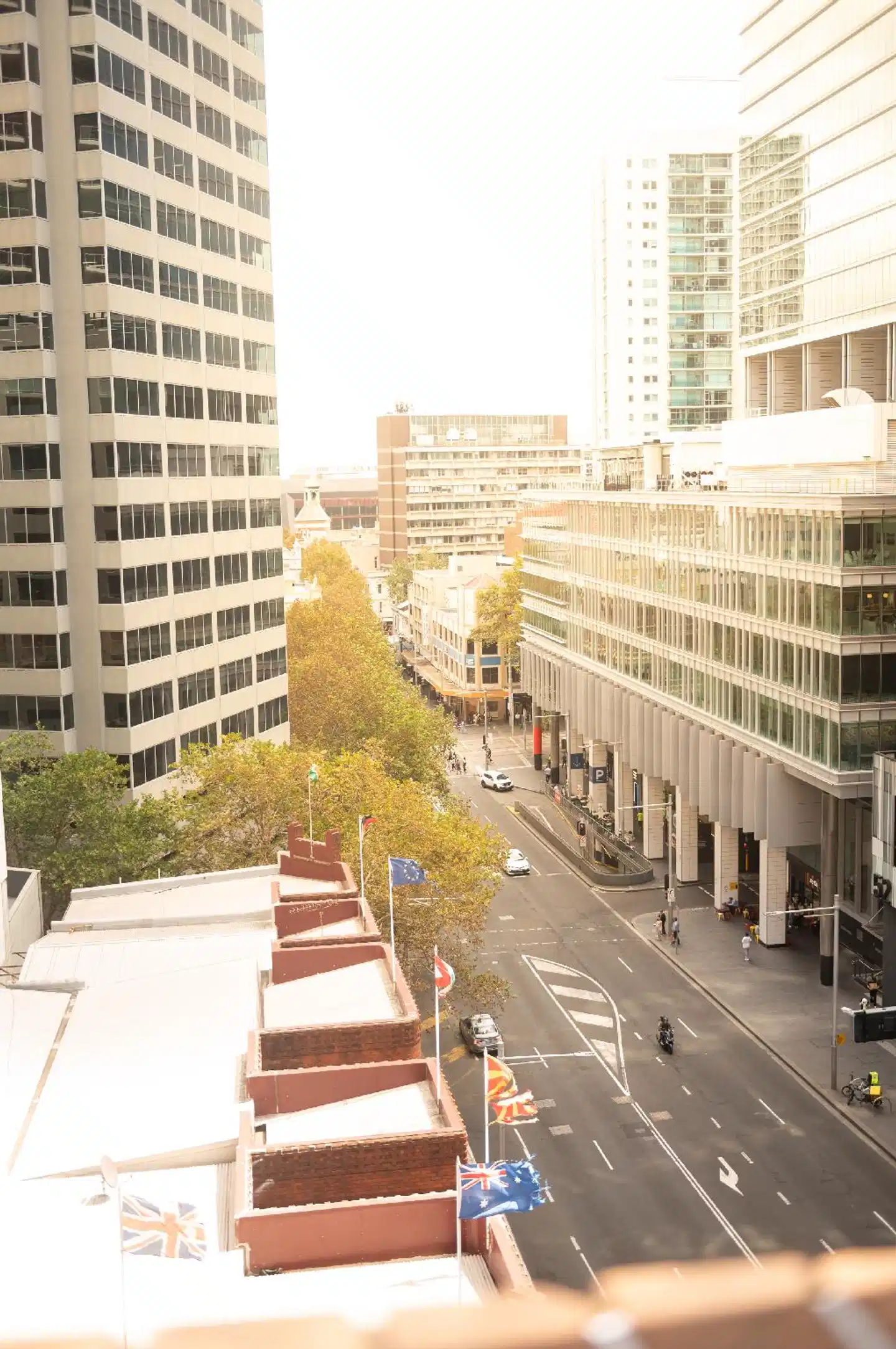 The Pod Sydney Terrasse