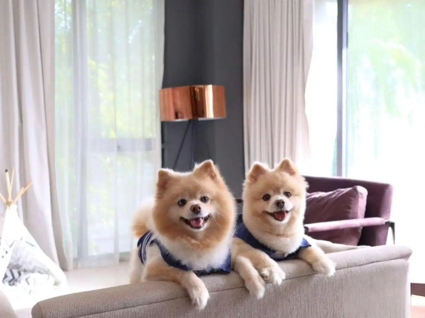 Cross Vibe Pattaya Seaphere Wohnbeispiel