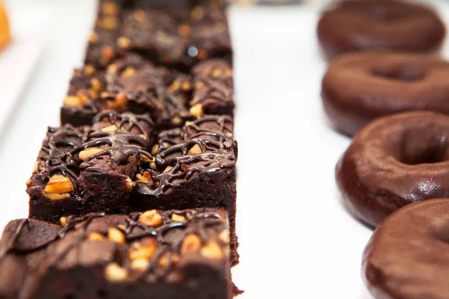 Soho Boutique Colón Tiere