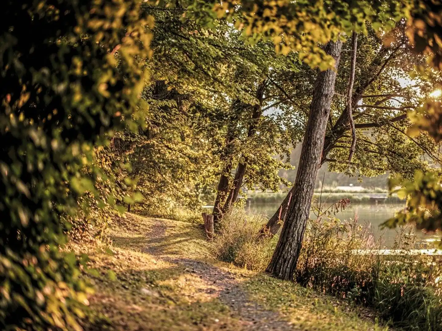 Falkensteiner Premium Camping Lake Blagus Landschaft