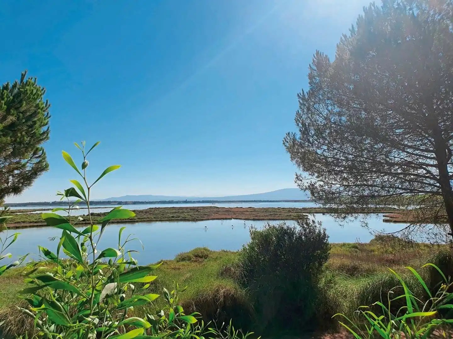 Camping S'Ena Arrubia (by Happy Camp) Landschaft