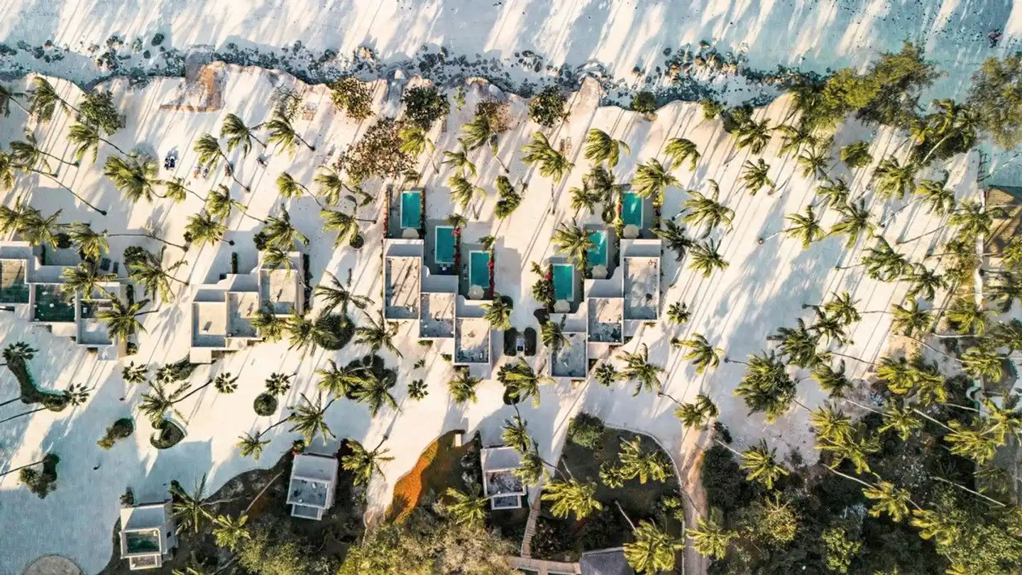 ananea Diamonds Mapenzi Tiere