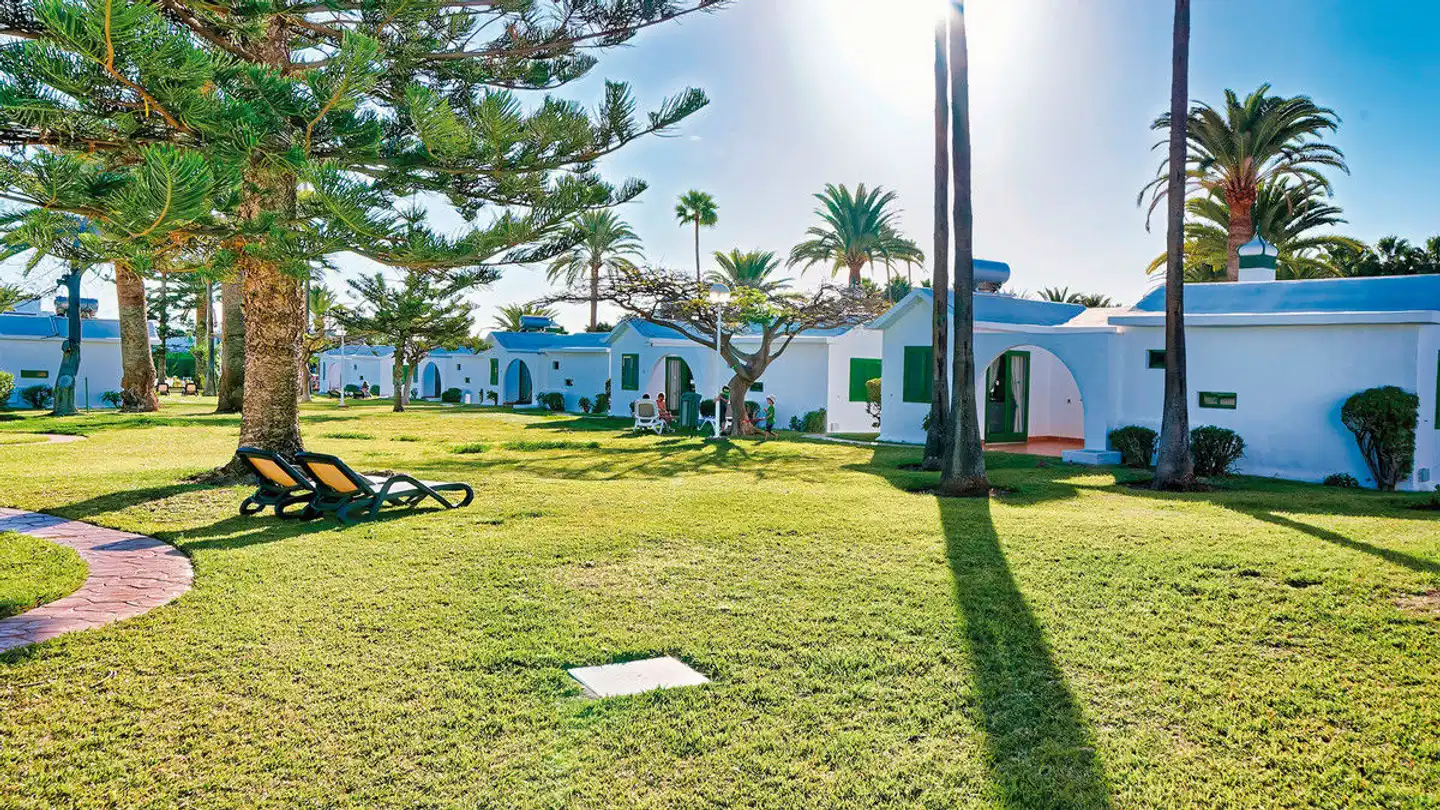 Canary Garden Club Garten