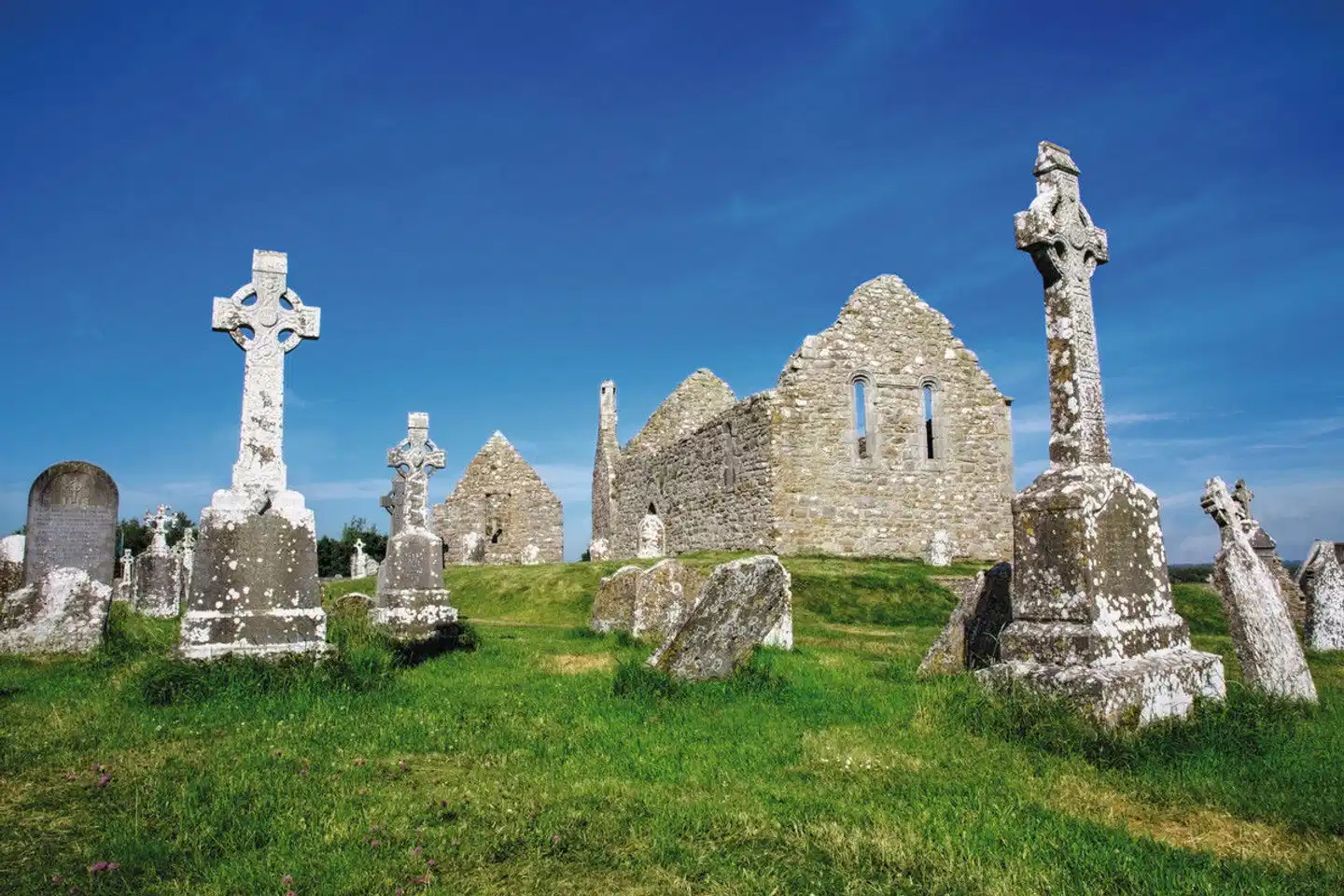 Irland Rundreise Garten