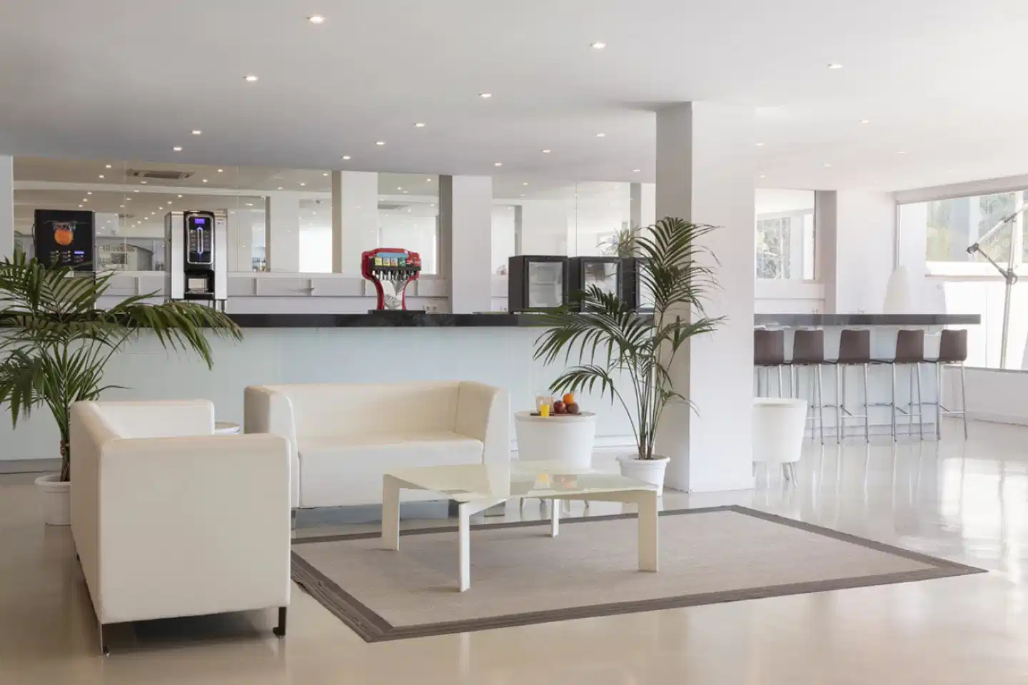 Palia Las Palomas Lobby