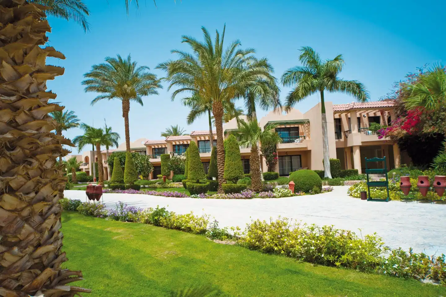 Ali Baba Palace GARDEN