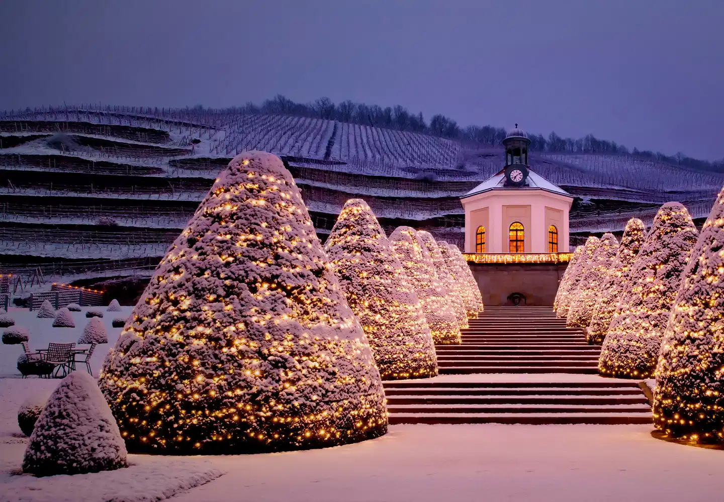 Best Western Macrander Hotel Dresden Tiere