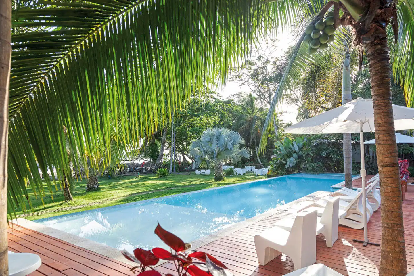 Le Caméléon Boutique Hotel Pool