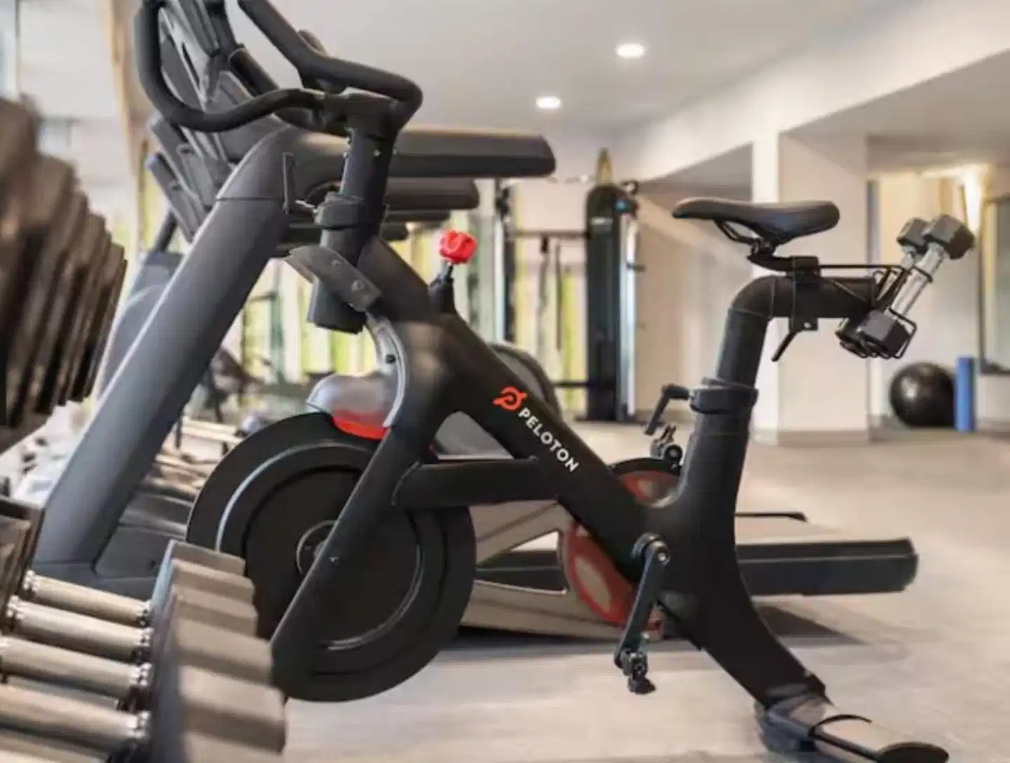 Hilton Garden Inn Phoenix Midtown Sport und Entertainment