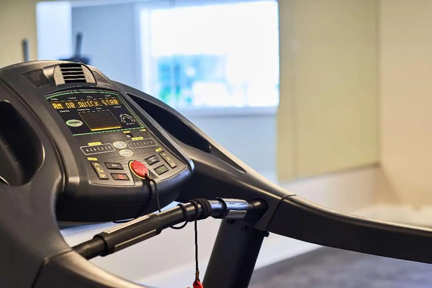 Best Western On The Bay Inn & Marina Sport und Entertainment