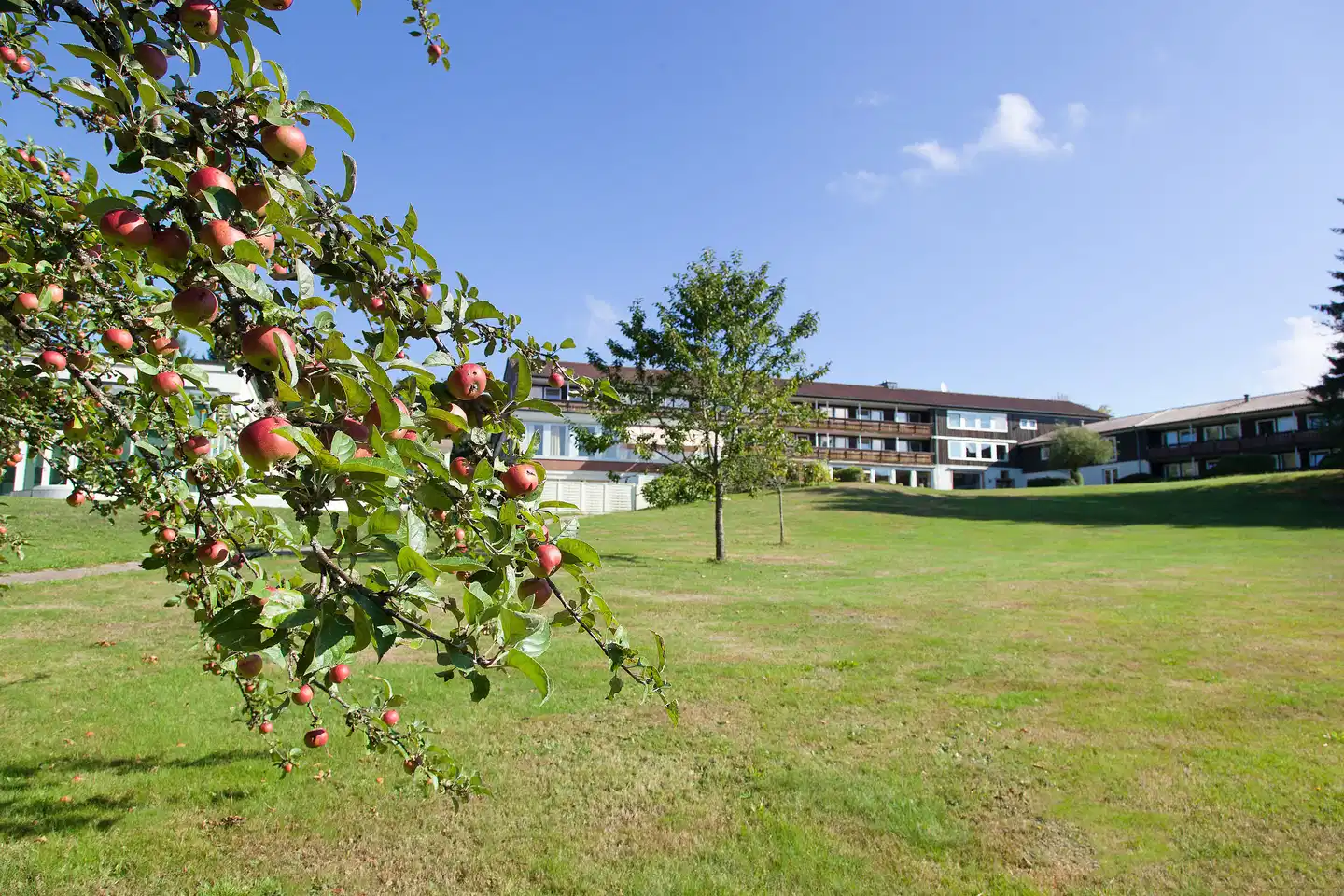Hotel Schwarzwald Freudenstadt Garten