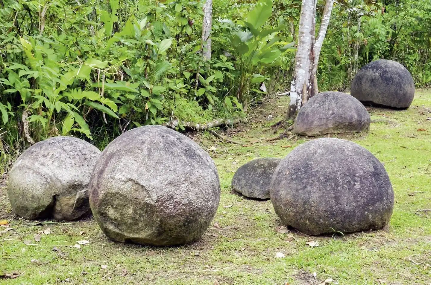 Pura Vida - Costa Rica hautnah Garten