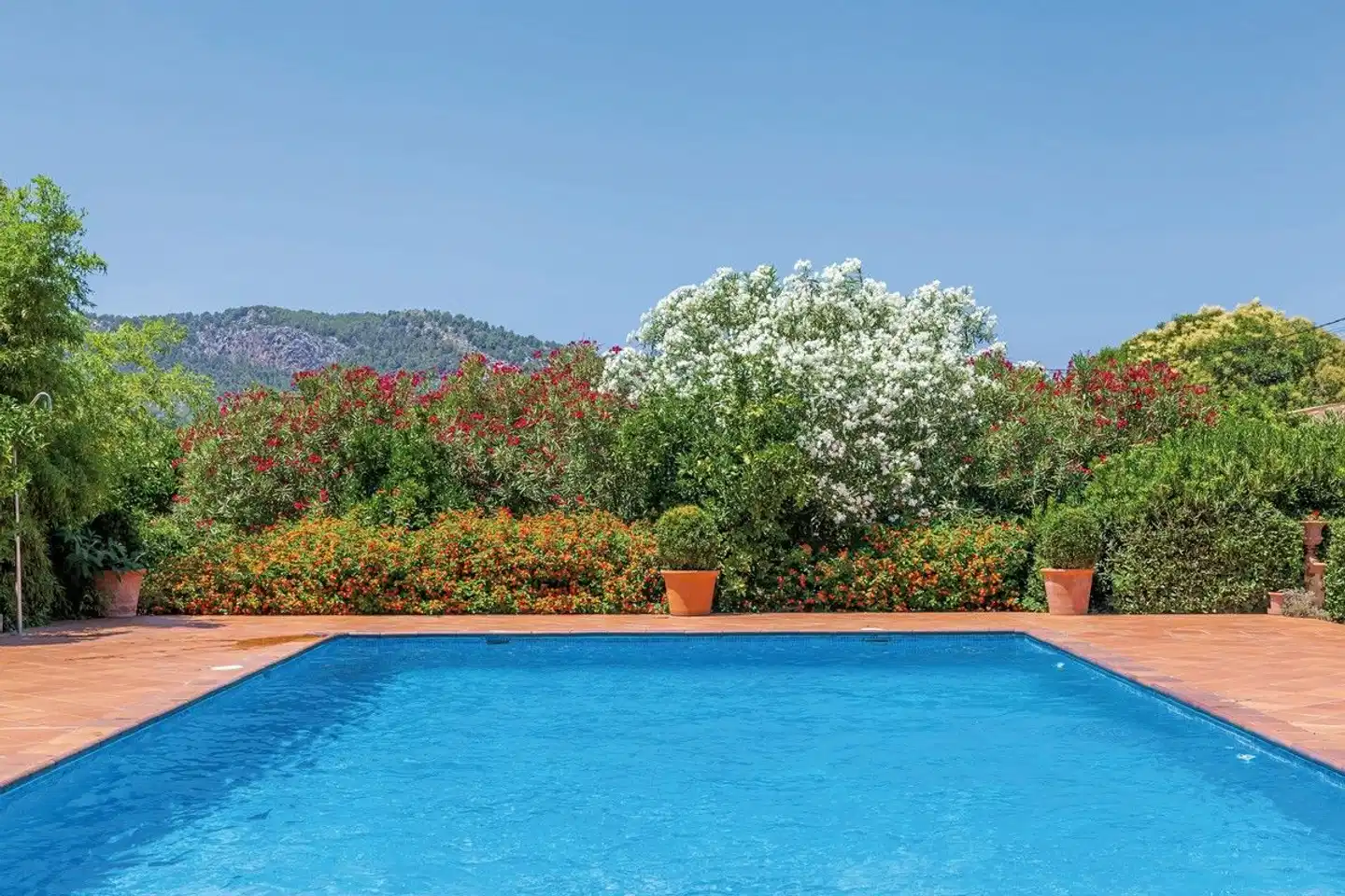 Finca Ca's Curial Pool