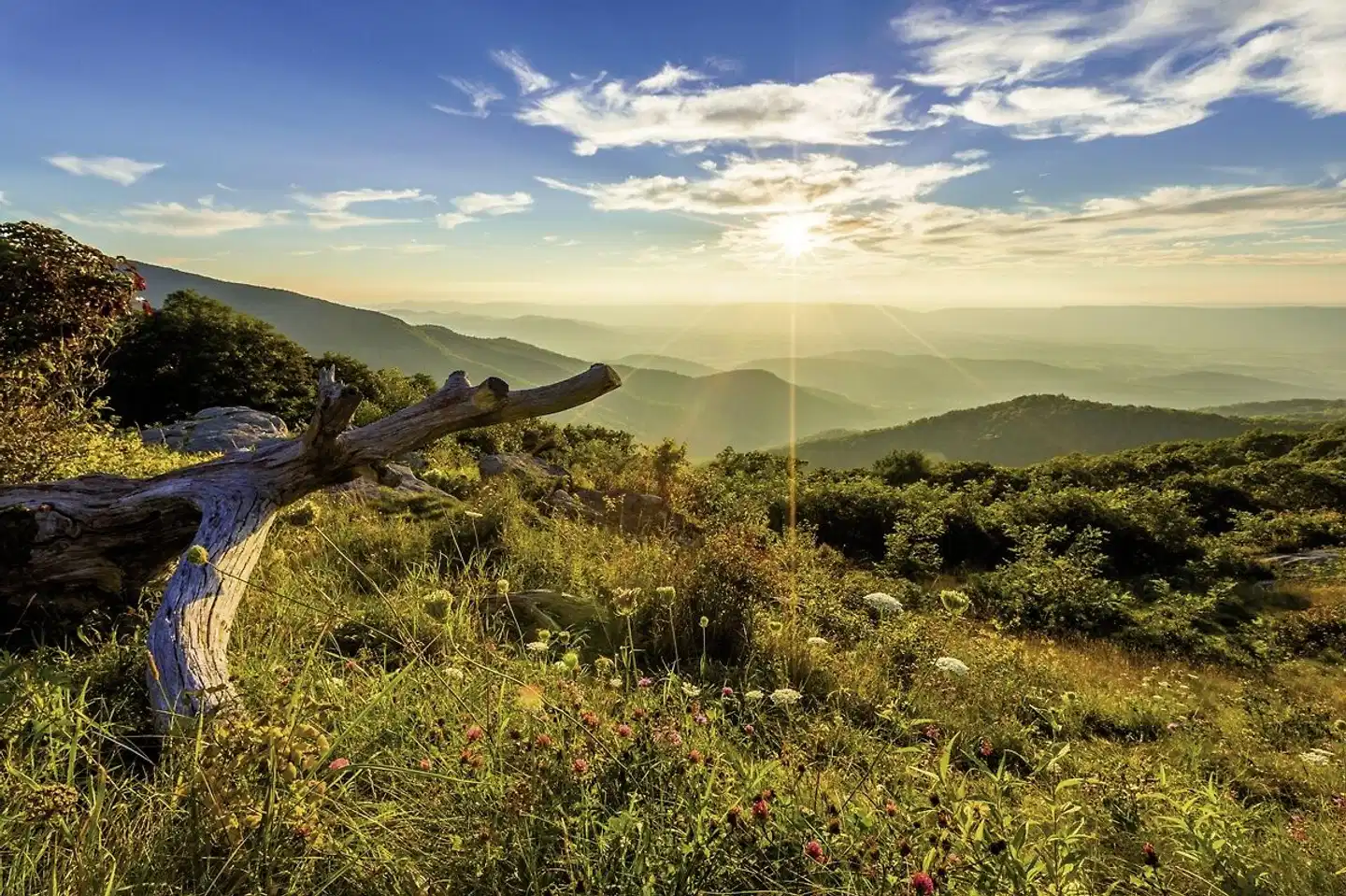 Skyland Resort Landschaft