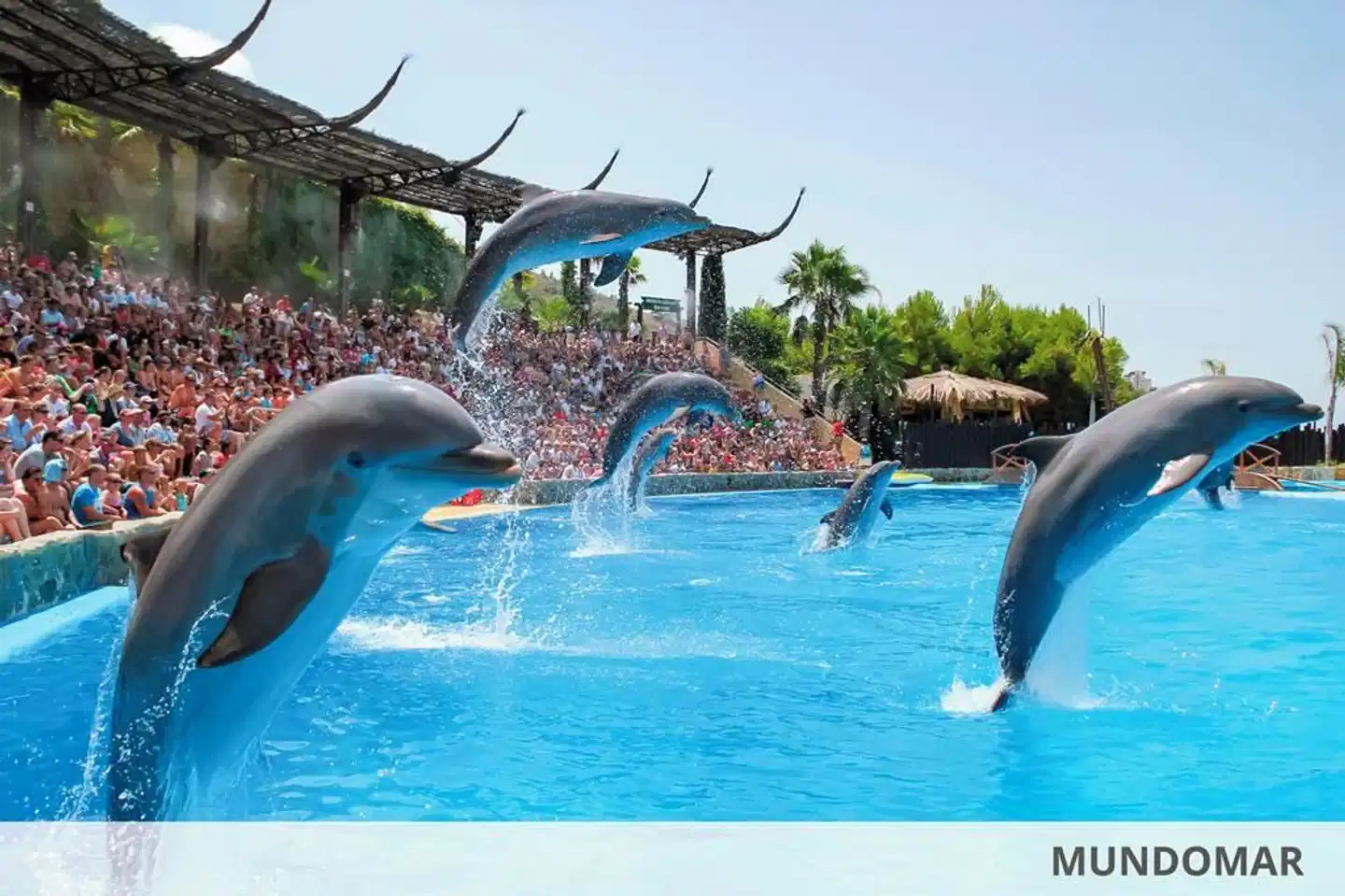 Hotel Benidorm East by Pierre & Vacances Pool