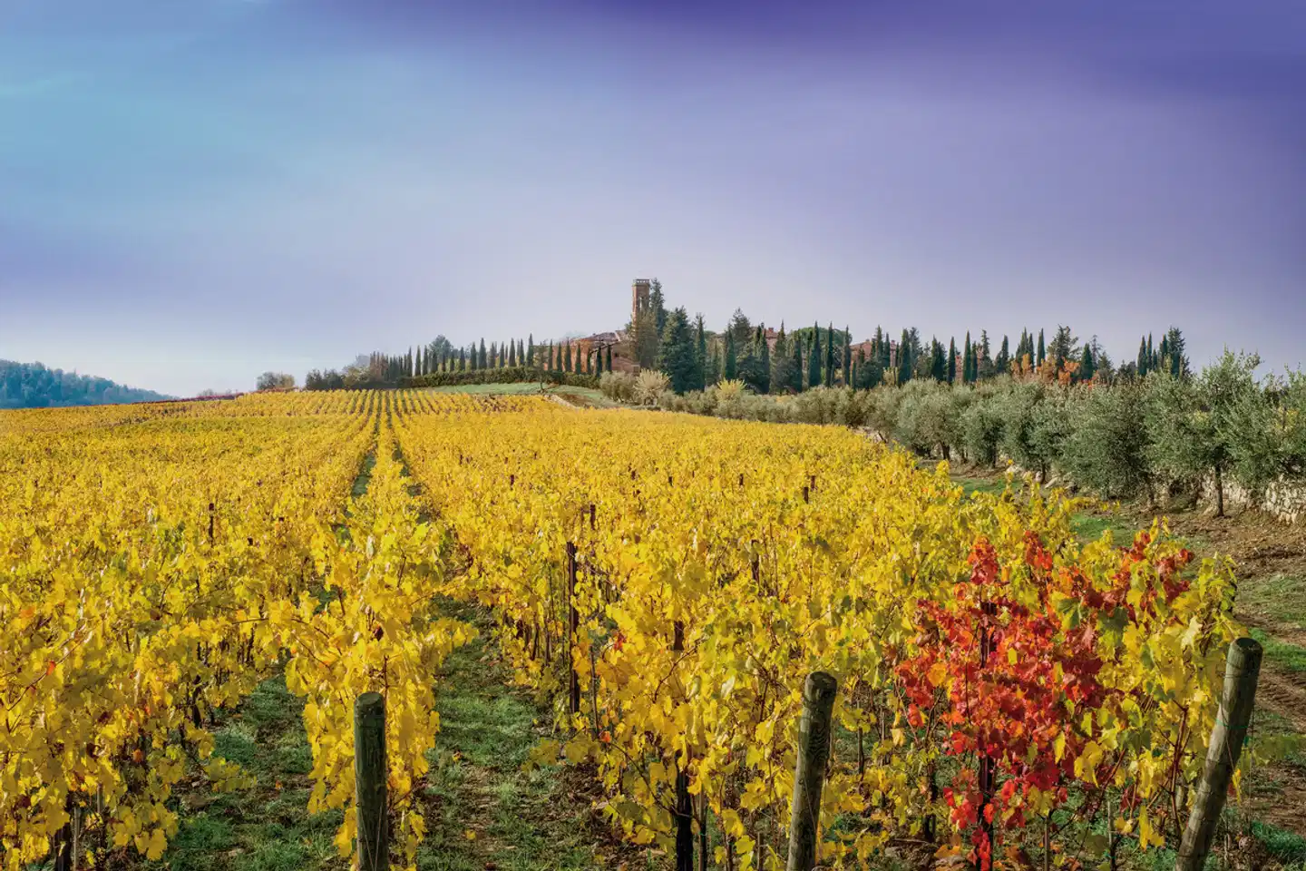 Borgo San Felice Landschaft