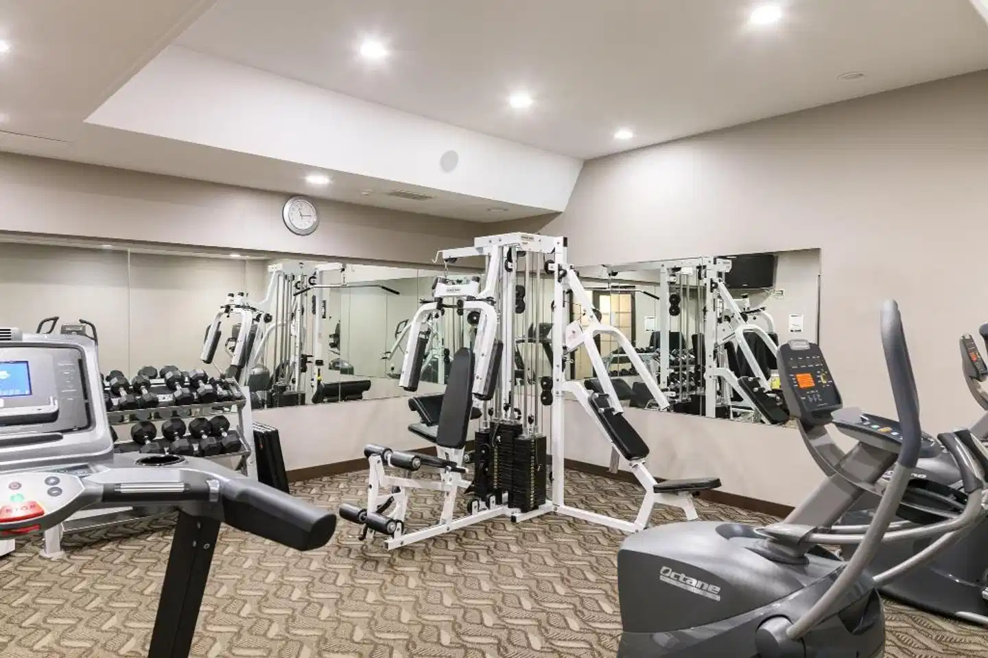 Rodd Royalty Sport und Entertainment