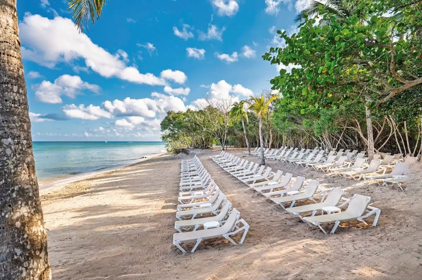 Occidental Cozumel BEACH